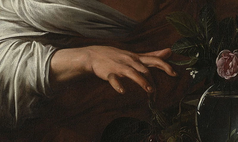 Ragazzo morsicato da una vipera - National Gallery Londra, mano